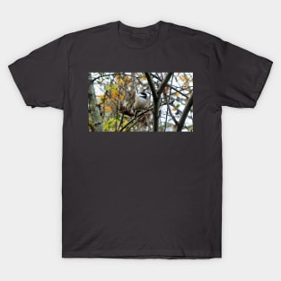 Black-capped Chickadee Perched In A Tree T-Shirt